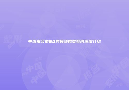 中国排名前20的鼻部修复整形医院介绍