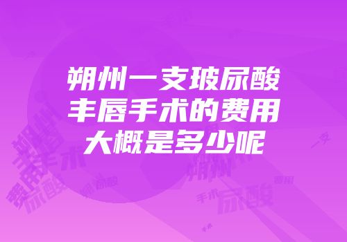 朔州一支玻尿酸丰唇手术的费用大概是多少呢