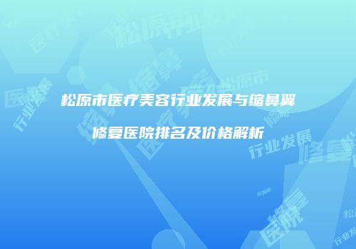 松原市医疗美容行业发展与缩鼻翼修复医院排名及价格解析