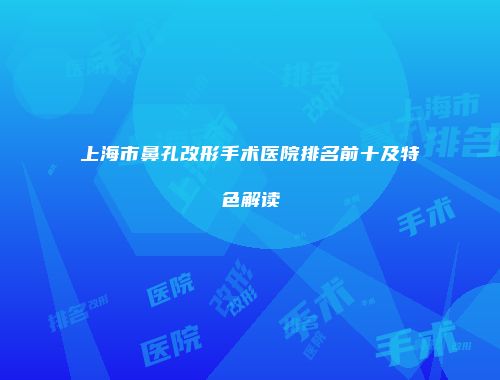 上海市鼻孔改形手术医院排名前十及特色解读