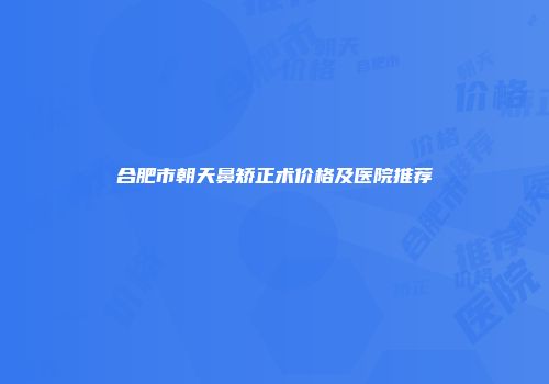 合肥市朝天鼻矫正术价格及医院推荐