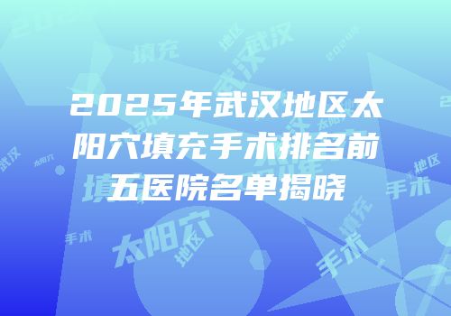 2025年武汉地区太阳穴填充手术排名前五医院名单揭晓