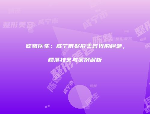 陈鹫医生：咸宁市整形美容界的翘楚，精湛技艺与案例解析