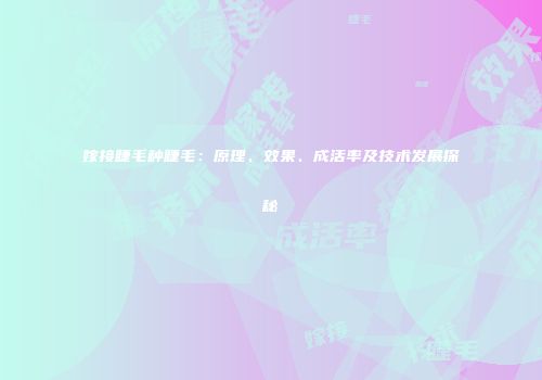 嫁接睫毛种睫毛：原理、效果、成活率及技术发展探秘