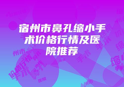 宿州市鼻孔缩小手术价格行情及医院推荐