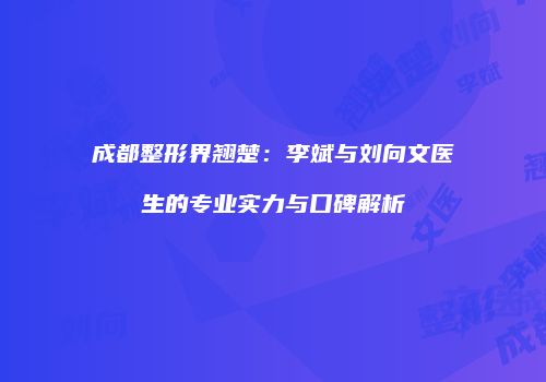 成都整形界翘楚：李斌与刘向文医生的专业实力与口碑解析