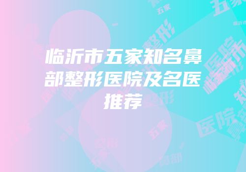 临沂市五家知名鼻部整形医院及名医推荐