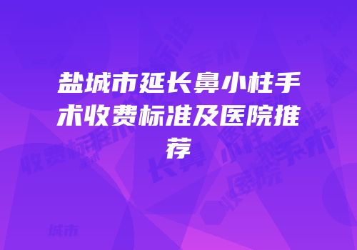 盐城市延长鼻小柱手术收费标准及医院推荐