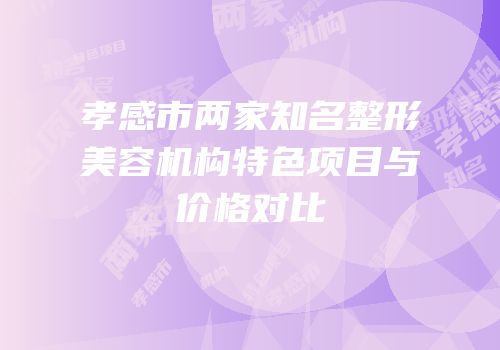 孝感市两家知名整形美容机构特色项目与价格对比