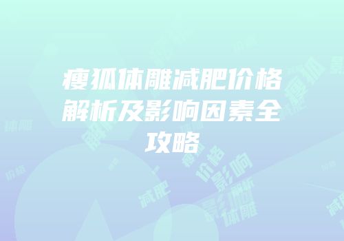 瘦狐体雕减肥价格解析及影响因素全攻略