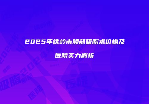 2025年铁岭市腹部吸脂术价格及医院实力解析
