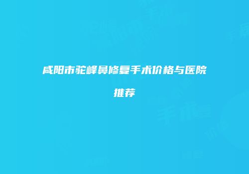 咸阳市驼峰鼻修复手术价格与医院推荐