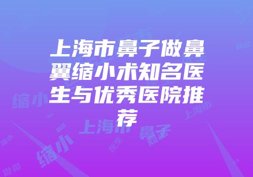 上海市鼻子做鼻翼缩小术知名医生与优秀医院推荐