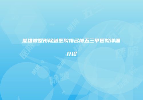 楚雄微整形除皱医院排名前五三甲医院详细介绍