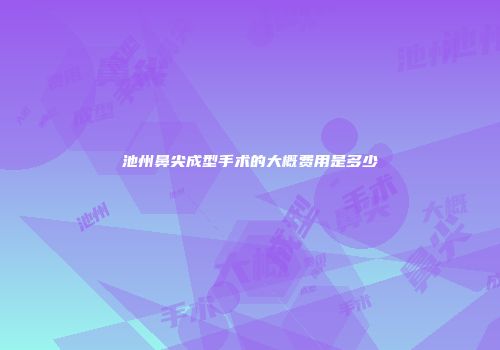 池州鼻尖成型手术的大概费用是多少