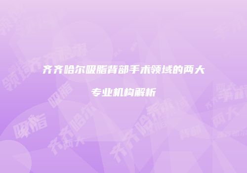 齐齐哈尔吸脂背部手术领域的两大专业机构解析