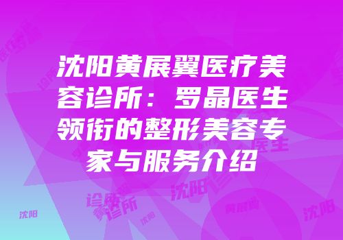 沈阳黄展翼医疗美容诊所：罗晶医生领衔的整形美容专家与服务介绍