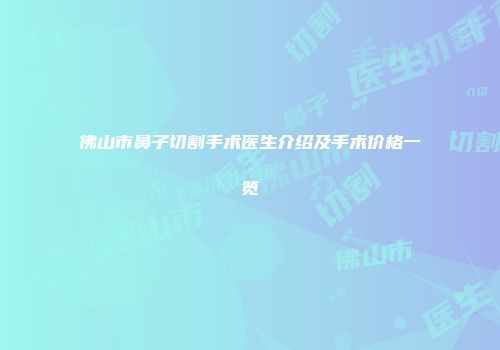 佛山市鼻子切割手术医生介绍及手术价格一览