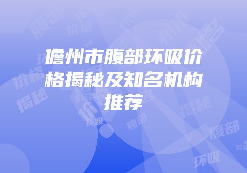 儋州市腹部环吸价格揭秘及知名机构推荐