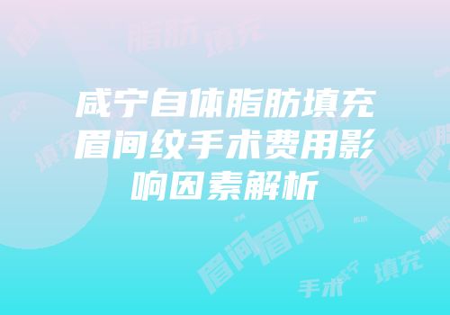 咸宁自体脂肪填充眉间纹手术费用影响因素解析