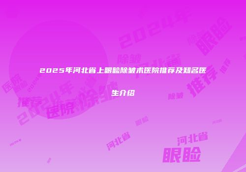 2025年河北省上眼睑除皱术医院推荐及知名医生介绍