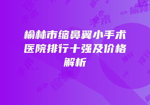 榆林市缩鼻翼小手术医院排行十强及价格解析