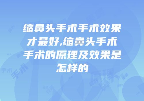 缩鼻头手术手术效果才最好,缩鼻头手术手术的原理及效果是怎样的