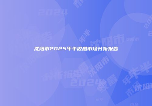 沈阳市2025年半纹眉市场分析报告