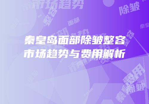 秦皇岛面部除皱整容市场趋势与费用解析