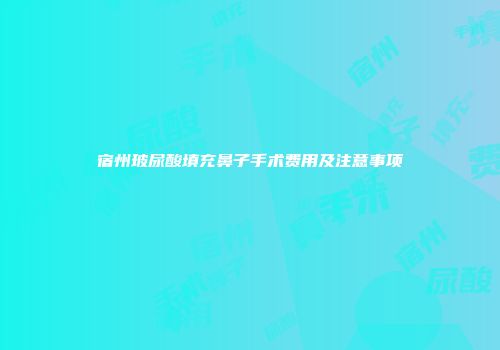 宿州玻尿酸填充鼻子手术费用及注意事项