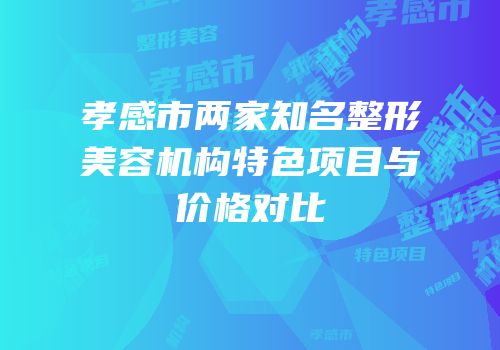 孝感市两家知名整形美容机构特色项目与价格对比