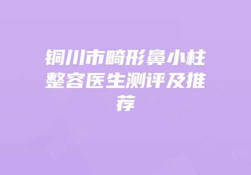 铜川市畸形鼻小柱整容医生测评及推荐