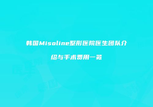 韩国Misoline整形医院医生团队介绍与手术费用一览
