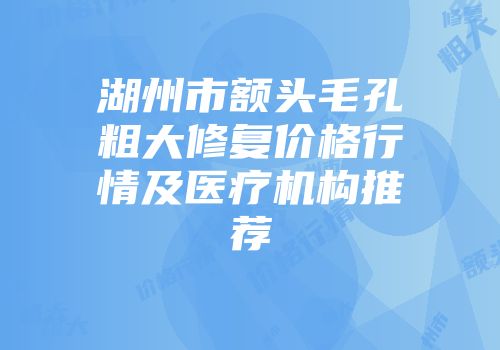 湖州市额头毛孔粗大修复价格行情及医疗机构推荐