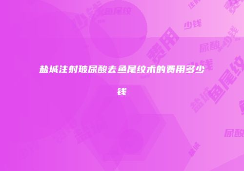 盐城注射玻尿酸去鱼尾纹术的费用多少钱