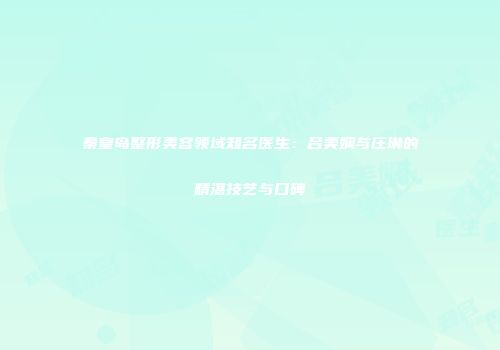 秦皇岛整形美容领域知名医生：吕美娴与庄琳的精湛技艺与口碑