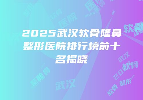 2025武汉软骨隆鼻整形医院排行榜前十名揭晓