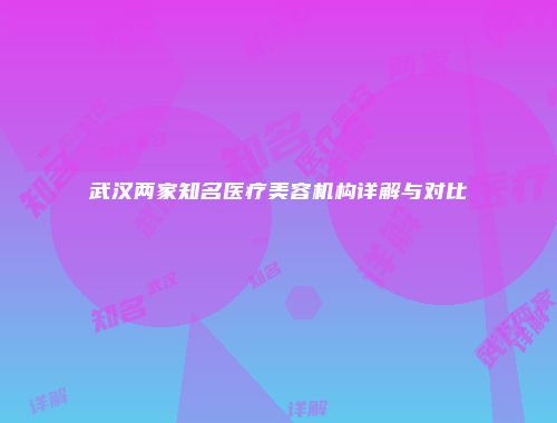 武汉两家知名医疗美容机构详解与对比