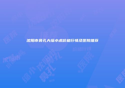沈阳市鼻孔大缩小术价格行情及医院推荐