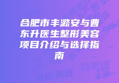 合肥市丰潞安与曹东升医生整形美容项目介绍与选择指南