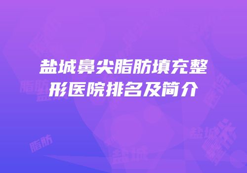 盐城鼻尖脂肪填充整形医院排名及简介