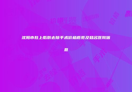 沈阳市肚上脂肪去除手术价格概览及知名医院信息