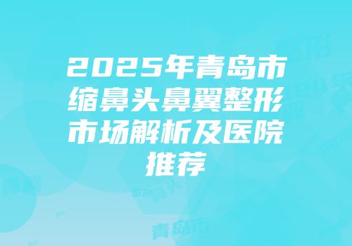 2025年青岛市缩鼻头鼻翼整形市场解析及医院推荐