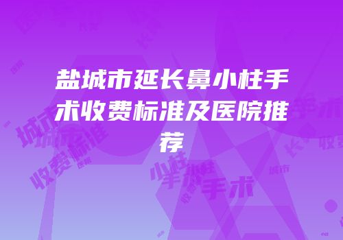 盐城市延长鼻小柱手术收费标准及医院推荐