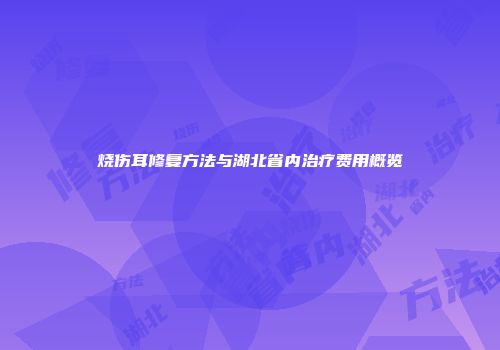 烧伤耳修复方法与湖北省内治疗费用概览