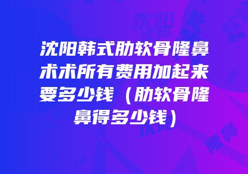 沈阳韩式肋软骨隆鼻术术所有费用加起来要多少钱（肋软骨隆鼻得多少钱）