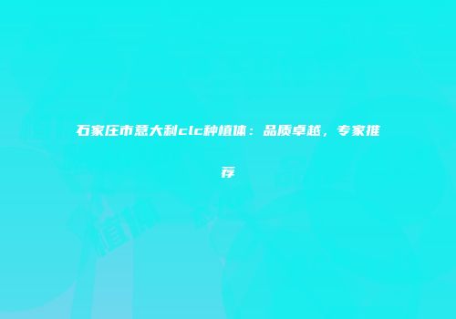 石家庄市意大利clc种植体：品质卓越，专家推荐