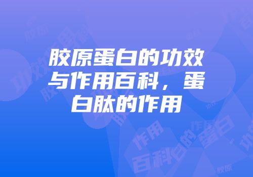 胶原蛋白的功效与作用百科，蛋白肽的作用