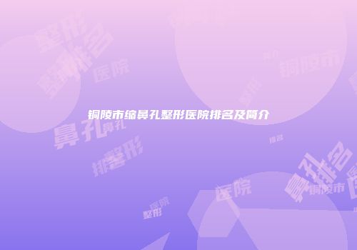 铜陵市缩鼻孔整形医院排名及简介