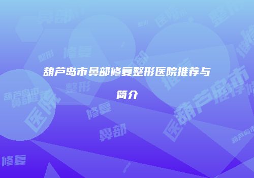 葫芦岛市鼻部修复整形医院推荐与简介